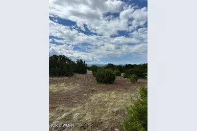 Tbd Cr N3109 &amp; N3102, Vernon, AZ 85940 - Photo 5