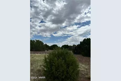 Tbd Cr N3109 &amp; N3102, Vernon, AZ 85940 - Photo 17