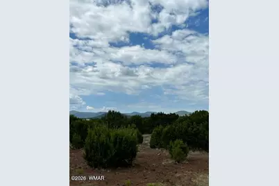 Tbd Cr N3109 &amp; N3102, Vernon, AZ 85940 - Photo 9