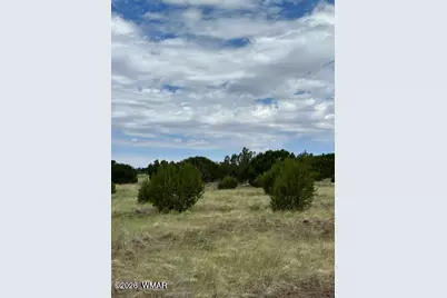 Tbd Cr N3109 &amp; N3102, Vernon, AZ 85940 - Photo 15