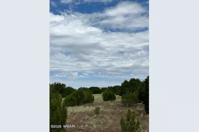 Tbd Cr N3109 &amp; N3102, Vernon, AZ 85940 - Photo 13