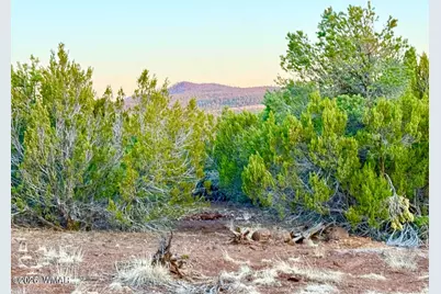 6 Co Rd 3086 1.15 Acres, Vernon, AZ 85940 - Photo 11