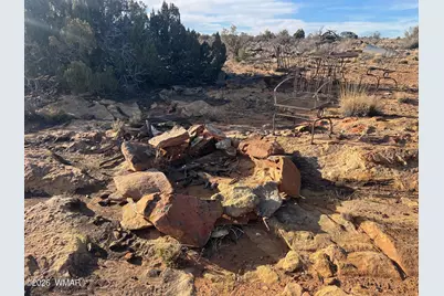 Lot 29 Snowflake Ranches, Snowflake, AZ 85937 - Photo 11