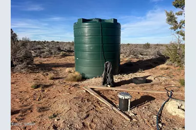 Lot 29 Snowflake Ranches, Snowflake, AZ 85937 - Photo 9