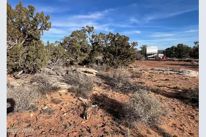 Lot 29 Snowflake Ranches, Snowflake, AZ 85937 - Photo 15