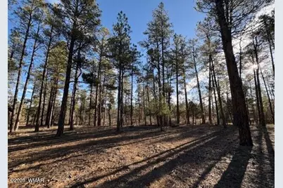2360 Narrow Leaf Lane, Show Low, AZ 85901 - Photo 5