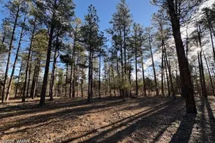 2360 Narrow Leaf Ln, Show Low, AZ 85901 - Photo 5