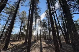 2360 Narrow Leaf Ln, Show Low, AZ 85901 - Photo 1