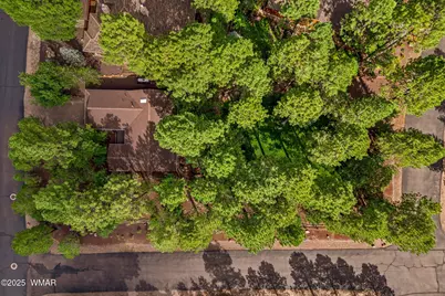 2253 E Ridge Drive, Pinetop, AZ 85935 - Photo 25