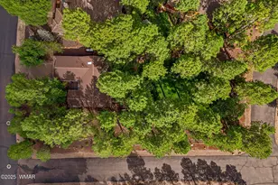 2253 E Ridge Dr, Pinetop, AZ 85935 - Photo 25