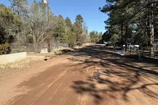 2058 Pinehaven Ln, Overgaard, AZ 85933 - Photo 31