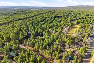 4338 Branding Iron Loop, Pinetop, AZ 85935 - Photo 29