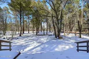 4338 Branding Iron Loop, Pinetop, AZ 85935 - Photo 21