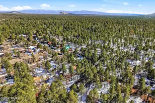 4338 Branding Iron Loop, Pinetop, AZ 85935 - Photo 25