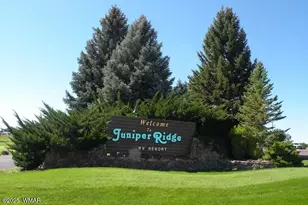 1950 Lynx Dr Unit Lot 40, Show Low, AZ 85901 - Photo 19