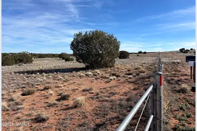 9681 E Concho Highway, Snowflake, AZ 85937 - Photo 3