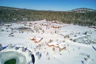 9516 Sierra Springs Dr, Pinetop, AZ 85935 - Photo 65