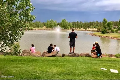 9516 Sierra Springs Drive, Pinetop, AZ 85935 - Photo 55