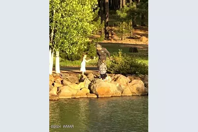 9516 Sierra Springs Drive, Pinetop, AZ 85935 - Photo 57