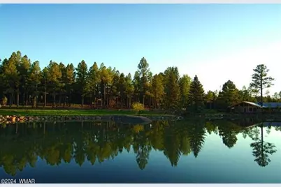 9516 Sierra Springs Drive, Pinetop, AZ 85935 - Photo 67