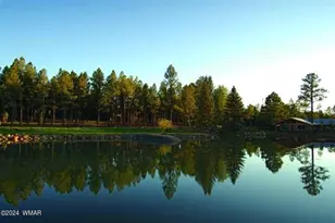 9516 Sierra Springs Dr, Pinetop, AZ 85935 - Photo 67