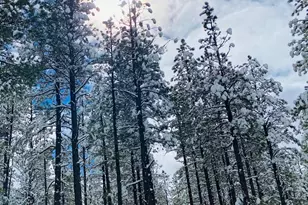 9516 Sierra Springs Dr, Pinetop, AZ 85935 - Photo 63