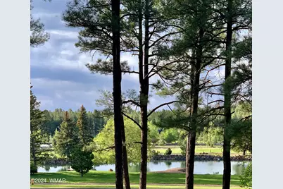 9516 Sierra Springs Drive, Pinetop, AZ 85935 - Photo 71