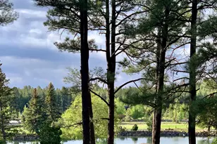 9516 Sierra Springs Dr, Pinetop, AZ 85935 - Photo 71