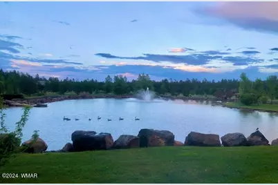 9516 Sierra Springs Drive, Pinetop, AZ 85935 - Photo 53