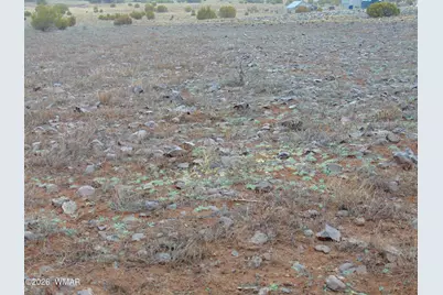 196 County Road 8206, Concho, AZ 85924 - Photo 13