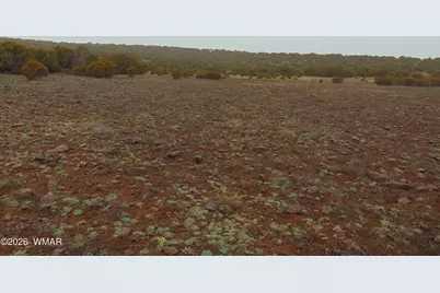 196 County Road 8206, Concho, AZ 85924 - Photo 7