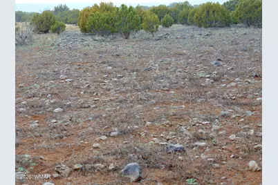 196 County Road 8206, Concho, AZ 85924 - Photo 3