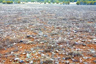 196 Co Rd 8206, Concho, AZ 85924 - Photo 1