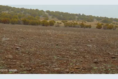 196 County Road 8206, Concho, AZ 85924 - Photo 9