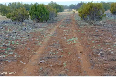 196 County Road 8206, Concho, AZ 85924 - Photo 5