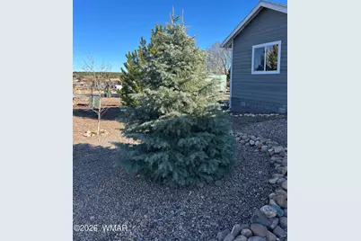 7025 Dusty Saddle Trail, Show Low, AZ 85901 - Photo 29
