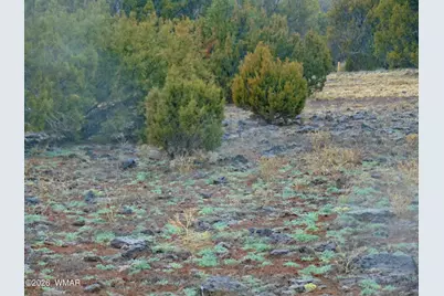 15 Mills, Concho, AZ 85924 - Photo 7