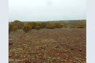 15 Mills, Concho, AZ 85924 - Photo 3