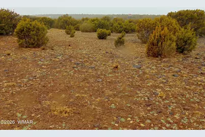 15 Mills, Concho, AZ 85924 - Photo 11