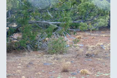 15 Mills, Concho, AZ 85924 - Photo 9