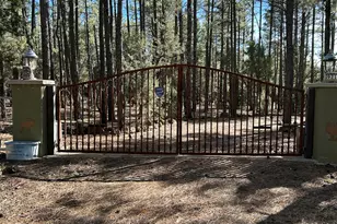 9211 Holly Ln, Lakeside, AZ 85929 - Photo 5