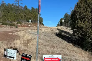 9211 Holly Ln, Lakeside, AZ 85929 - Photo 39