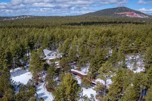 9211 Holly Ln, Lakeside, AZ 85929 - Photo 39