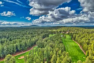 7214 Geronimo Rd, Pinetop, AZ 85935 - Photo 51