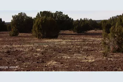 Lot 14B N3411, Vernon, AZ 85940 - Photo 3
