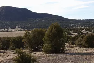 Lot 14D N3411, Vernon, AZ 85940 - Photo 1