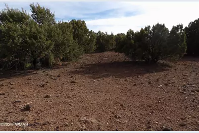 Lot 14D N3411, Vernon, AZ 85940 - Photo 3