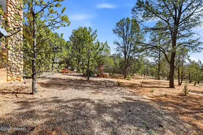 2337 Puma Circle, Overgaard, AZ 85933 - Photo 33