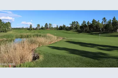 3990 Sugar Pine Loop, Show Low, AZ 85901 - Photo 59