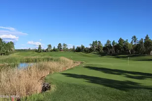 3990 Sugar Pine Loop, Show Low, AZ 85901 - Photo 59